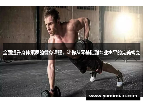 全面提升身体素质的健身课程，让你从零基础到专业水平的完美蜕变