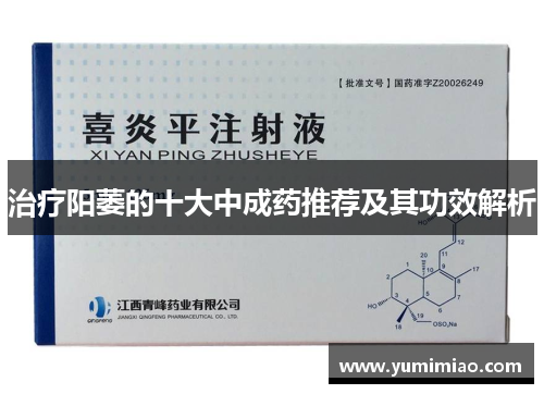 治疗阳萎的十大中成药推荐及其功效解析