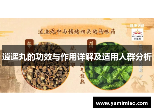 逍遥丸的功效与作用详解及适用人群分析