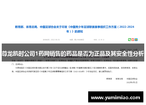 尊龙凯时公司1药网销售的药品是否为正品及其安全性分析