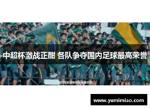 中超杯激战正酣 各队争夺国内足球最高荣誉